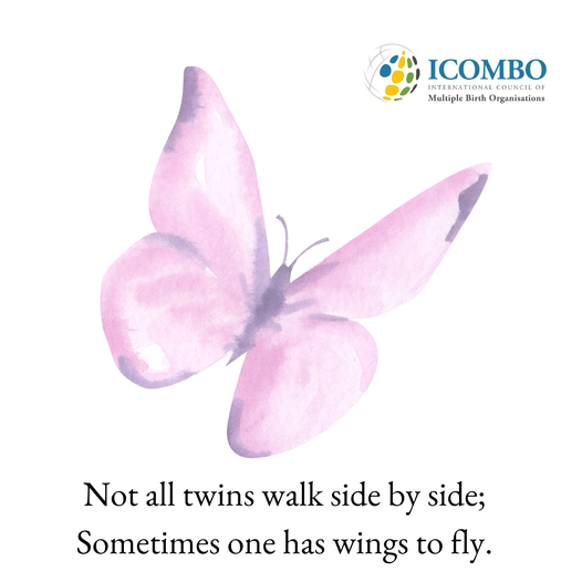 Å miste en tvilling